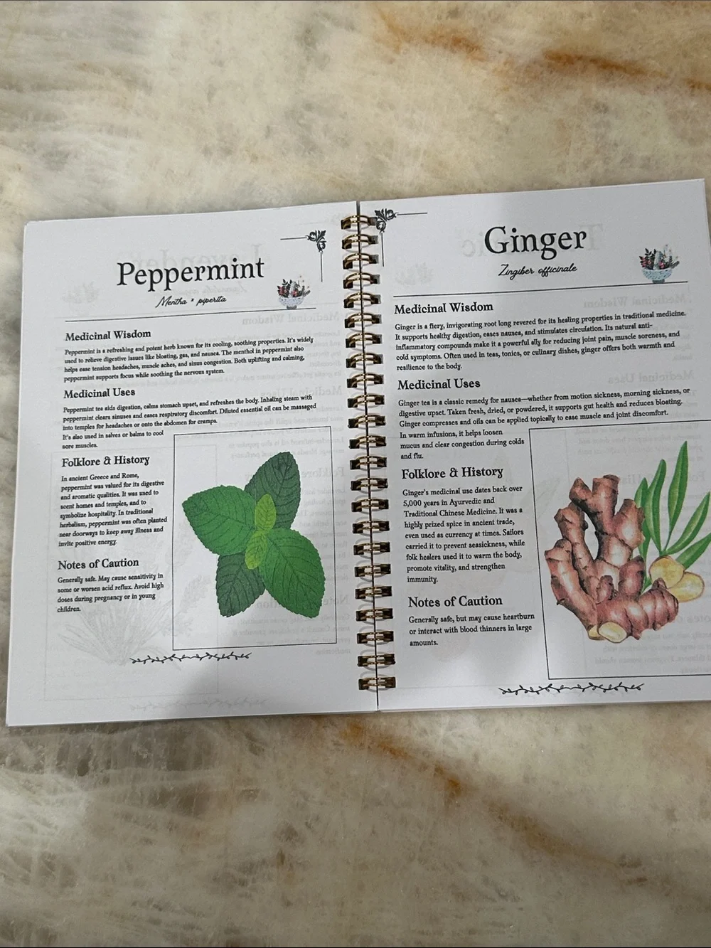 The Herbal Remedies Encyclopedia — Herbal Medicinal Guide (Black & Gold)